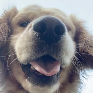 Meet your Posher, Marilyn